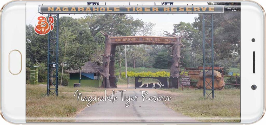 Nagerhole Tiger Reserve - coorg tour